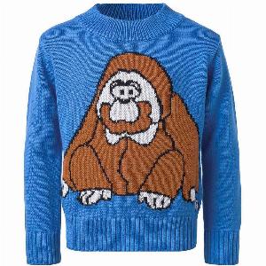 15 Rabatt auf den Kinder OrangUtan Pullover sichern