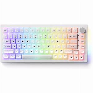 Keyboard meccanica 5075B Plus ASA Clear ora a 7599  sconto 16