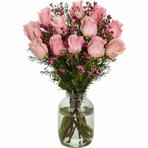 Twelve Elegant Pink Roses
