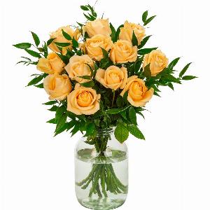 Twelve Delicate Peach Roses