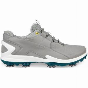 Enjoy a 19 Discount on Ecco Biom Tour Golf Shoes in Wild Dove