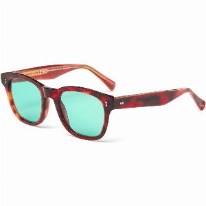 Laps Collection Man TONI 020LP 090GLS Outlet sunglasses Acetate Havana Green Round Antiglare