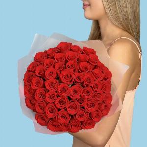 50 Premium Red Roses