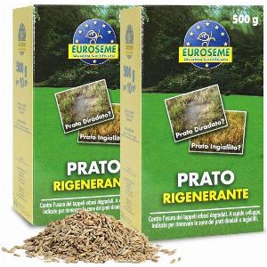 Semi Rigeneranti Euroseme 500g per Prato ora 490 sconto 84