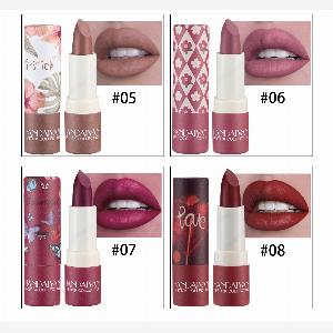 8 Colors Matte Lipstick Waterproof Velvet Nude Lipstick Sexy Red Brown Lip Matte Pigments Makeup Long Lasting Profissional Makeup 06