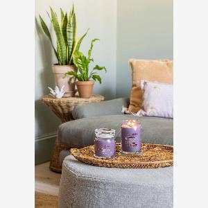 Debenhams Unisex Wax melt single stargazing