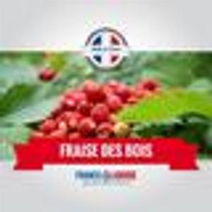 Eliquide arôme fraise des bois 17MG 10ml 50 PG  50 VG fabriqué en France