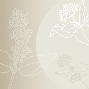 Cartouche de parfum Patchouli ScentAir Whisper Home 55  4 