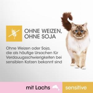 PERFECT FIT Sensitive 1 12x85g Lachsnahrung jetzt nur 899  früher 999  10  Rabatt