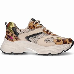 Ledersneaker mit Leoprint und mehrfarbigen Details