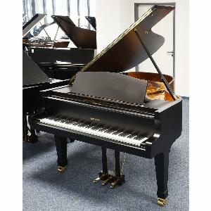 10 Rabatt auf gebrauchte Euterpe Flügel neu lackiert in Schwarz Bj 1985