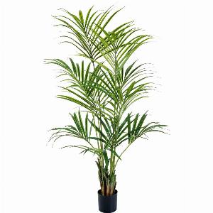 Künstliche Kentia Palme  Cataleya  172 cm