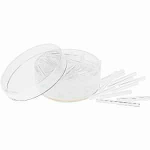 30 Rabatt auf 19 mm Glas und Kristallstifte sichern