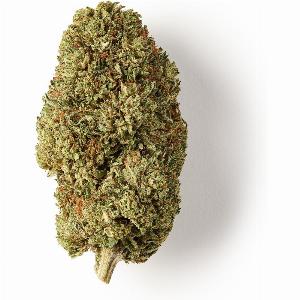 Enjoy 25 Discount on Bubba Kush CBD Flower from USA Greenhouse