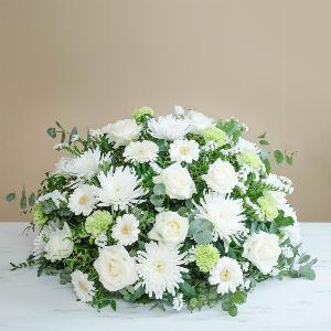 Omaggio Bianco ora a 9999  invece di 109  risparmia l8