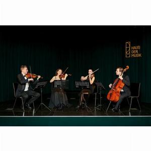 Save 4000 Mozart  Beethoven Concerto nella Casa della Musica di Vienna