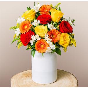 Floraqueen Sconto del 4% su Rose Rosse e Gialle con Gerbere Arancioni