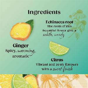 Twinings Superblends  Defence  Citrus  Ginger  Echinacea Green Tea Infusion  Added Vitamin C  Health Tea Drink 4 x 20 Tea Bags