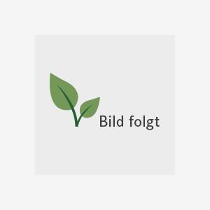 NaturlatexMatratze BellaNuvola  90x200 cm  medium  100 ökologisch