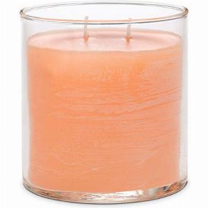 GloLite by PartyLite Peach Honey Citronella Scented Jar Candle