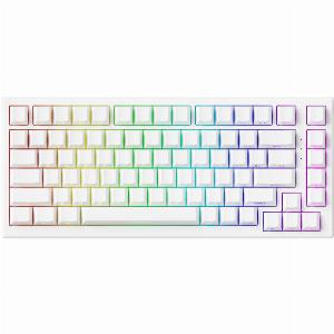 TAC75 HE Magnetic Keyboard Black  White