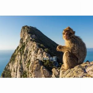 Réduction de 13  3000  de moins pour la visite de Gibraltar et Puerto Banús depuis Malaga