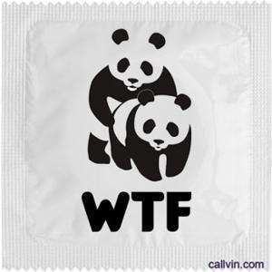 Bénéficiez dune réduction de 10  sur  WTF