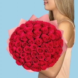 50 Premium Hot Pink Roses