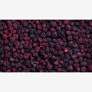Gefriergetrocknete BioBrombeeren 40g