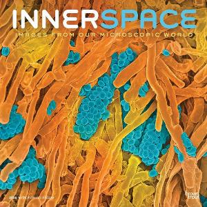 Innerspace Calendar 2026
