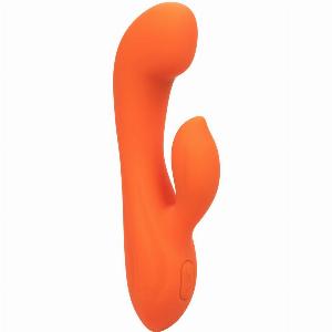 Profitieren Sie von 45 Rabatt auf das Stella Dual G Modell