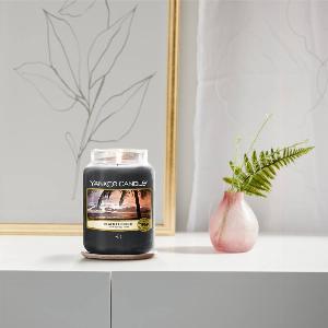 Enjoy 17 Discount on Black Coconut Product