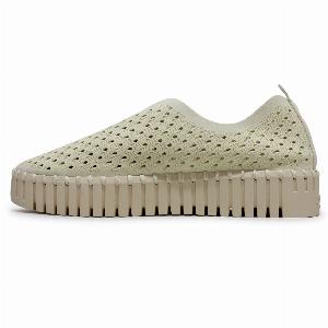 Get 5 discount on Ilse Jacobsen Tulip 3373 womens slipon shoes size US 9