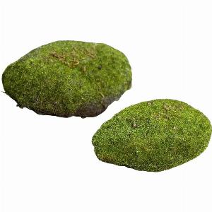 Deko Moosschwamm Hanni 1 Stück