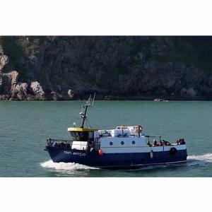 Sparen Sie 40 Genießen Sie 1000  Rabatt auf Howth Cliff Cruises