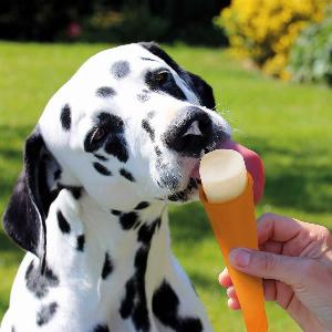 Hunde Eis Lollies 1 Stück
