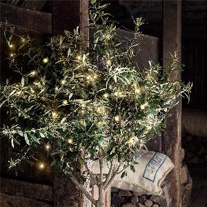 Guirlande Lumineuse à Piles 200 LED Blanc Chaud sur Câble Vert Foncé