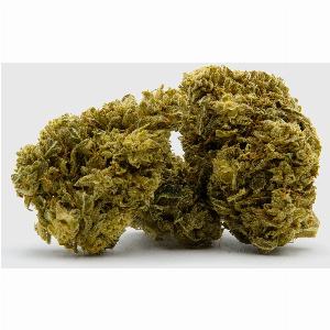 Sichern Sie sich 14 Rabatt auf Amnesia Extreme