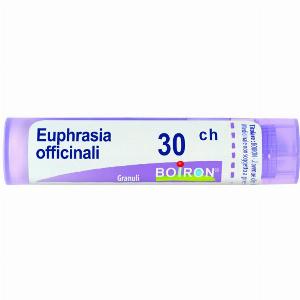 Boiron euphrasia off 30ch gr 4g
