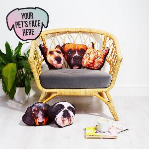 Enjoy 15 Discount on Personalised Pet Mushion Custom Cushion for Pets