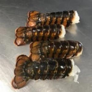 Enjoy 48 Discount on Pack of 3 Scottish Lobster Tails