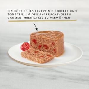GOURMET Gold Feine Pastete 12x85g Forelle und Tomaten