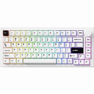 MonsGeek M1 V5 Black on White Black Silver