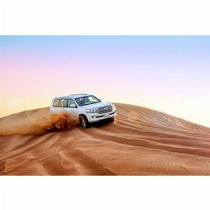 Save 3200 Safari nel deserto dei VIP a Dubai cena barbecue giro in cammello e 7 spettacoli dal vivo