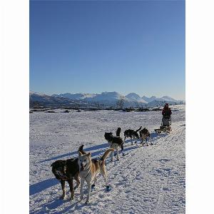 Enjoy 23 Discount on Quest for the Northern Lights