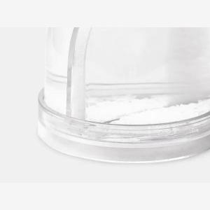 Boule scintillante avec photo