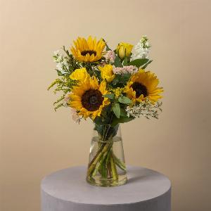 Sunflower Meadow Now 3399 Reduced from 3799 Save 11