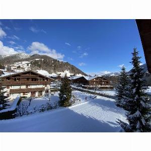 Praz sur Arly  Résidence les Ecrins  Studio cabine 4 personnes 210