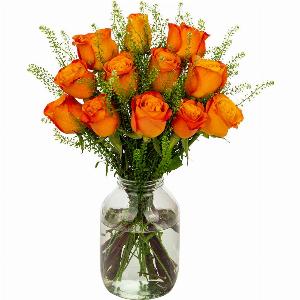 12 Vibrant Orange Roses