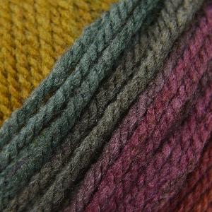 Hayfield Spirit Chunky  Autumn 415
